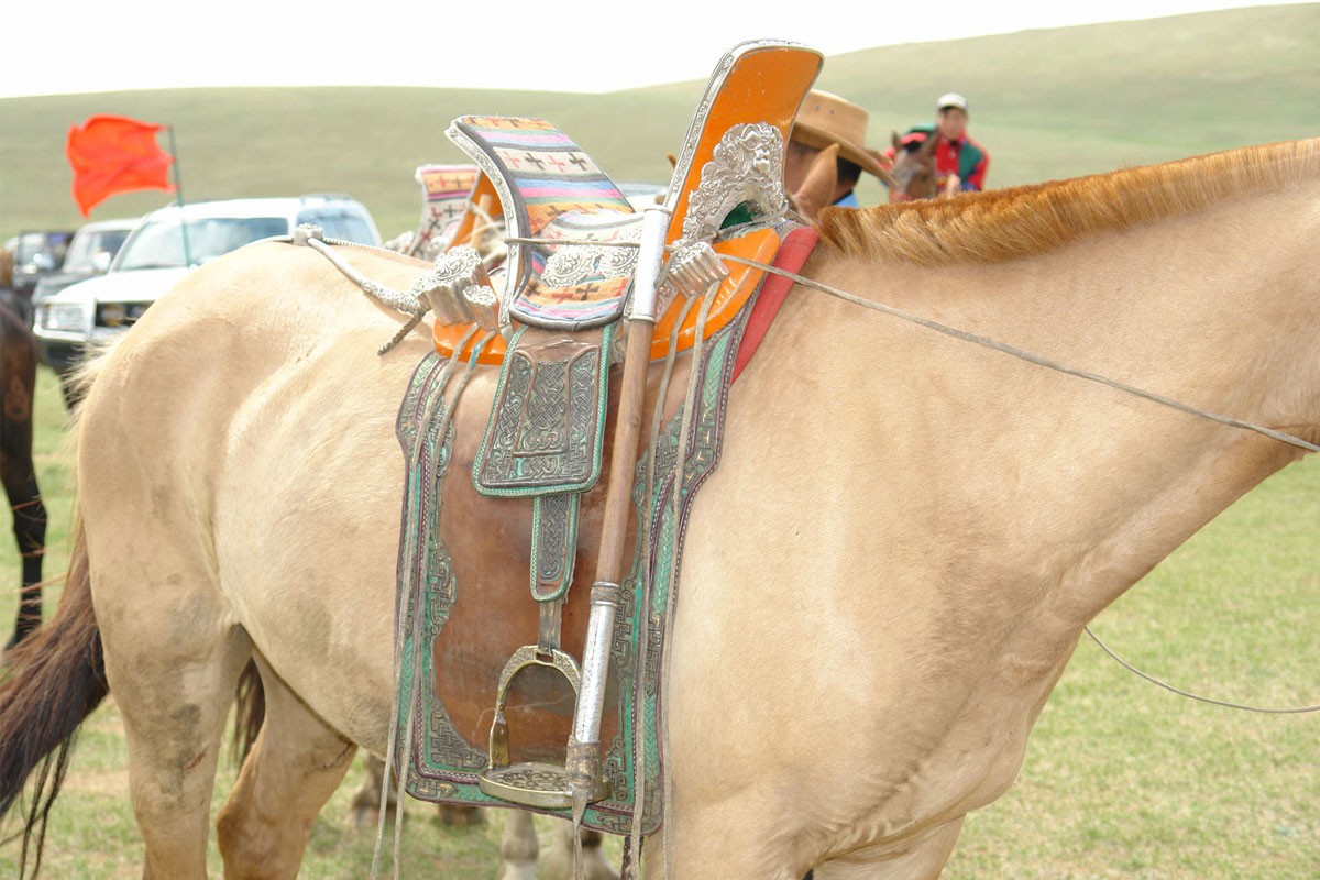 Horse-riding in Terelj National Park