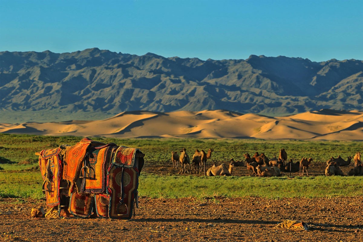 Horseriding through central Mongolia