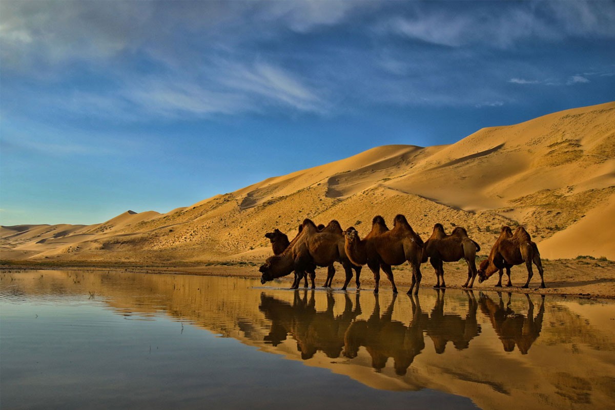 Guaranteed Departure tours